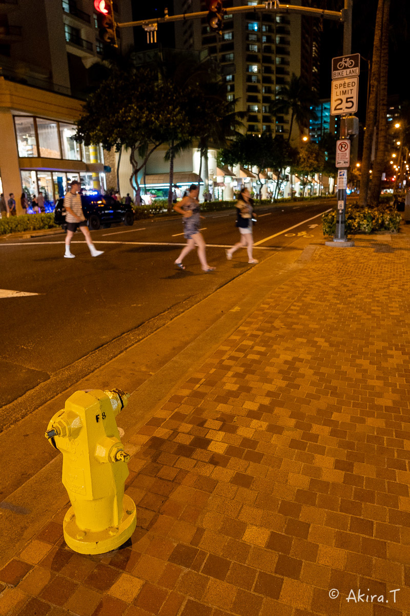ハワイ -17-_f0152550_22140171.jpg