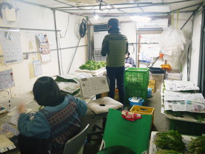 水耕栽培の生野菜を大好評販売中!さらなる高みを求め肥料改良!農薬や消毒を一切せずにてた各種生野菜です_a0254656_18321722.jpg