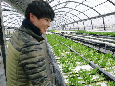 水耕栽培の生野菜を大好評販売中!さらなる高みを求め肥料改良!農薬や消毒を一切せずにてた各種生野菜です_a0254656_18373111.jpg