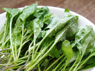 水耕栽培の生野菜を大好評販売中!さらなる高みを求め肥料改良!農薬や消毒を一切せずにてた各種生野菜です_a0254656_19082587.jpg