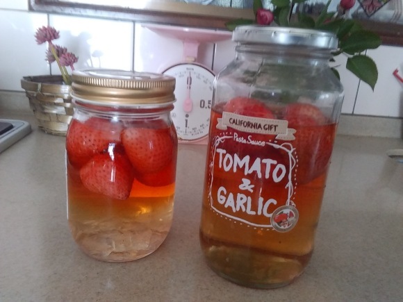 いちご酢を作ってみた 猫将軍のミューと あんなこと こんなこと