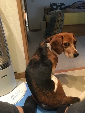 c0372561_00185611.jpeg