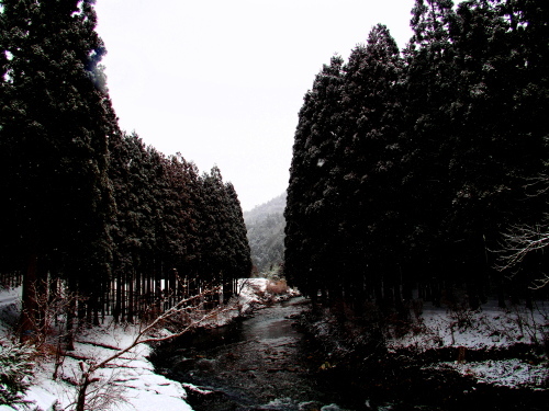f0327061_01412126.jpg
