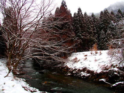 f0327061_01412542.jpg