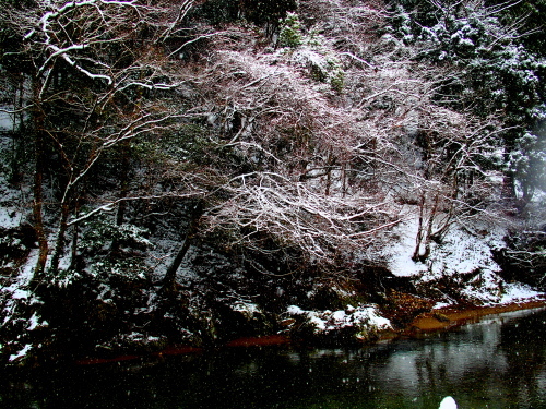 f0327061_01412927.jpg