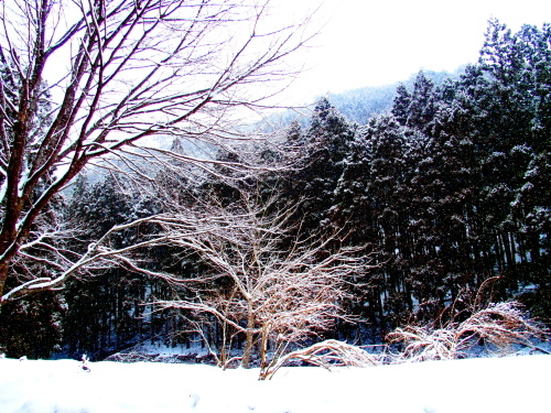 f0327061_01413316.jpg