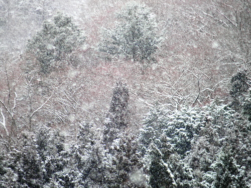 f0327061_01413705.jpg