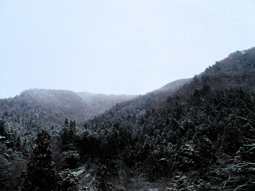 f0327061_01414021.jpg