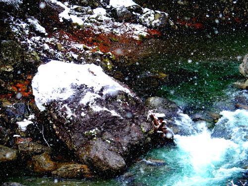 f0327061_01414973.jpg