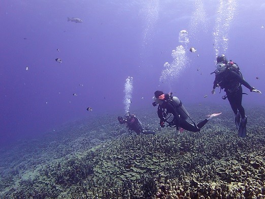 e0132965_20594187.jpg