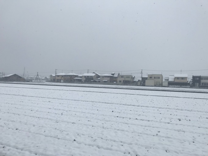 ＊＊雪が降りました♫⛄＊＊_c0216472_19155060.jpg