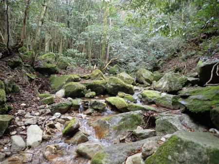 d0182075_06525771.jpg