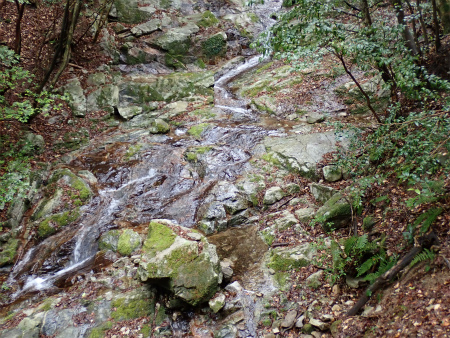 d0182075_06530425.jpg