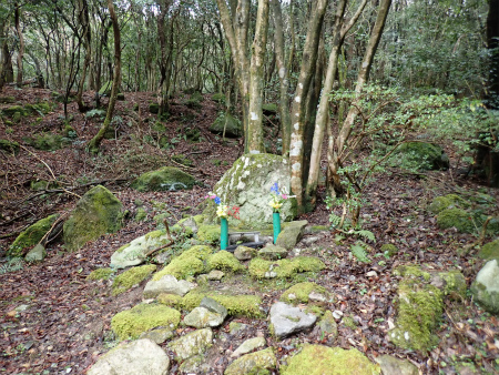 d0182075_06530960.jpg