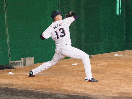 e0222575_20444252.gif
