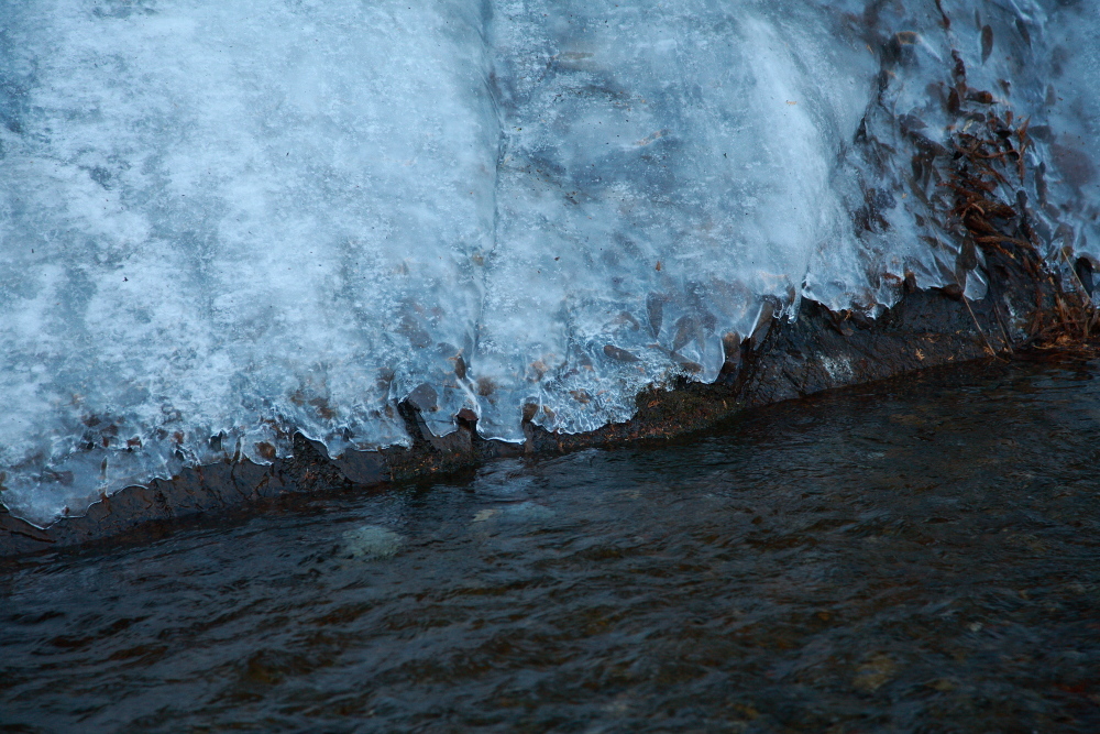 e0165983_16142455.jpg
