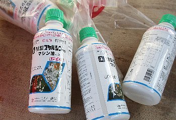 f0003283_15471297.jpg