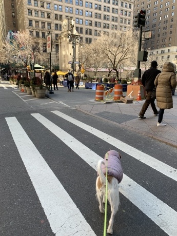 c0253487_01114444.jpg