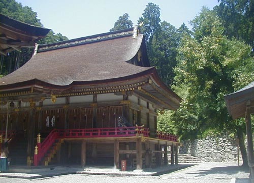 ●神社の造形―日吉大社、東本宮と椰の木_d0053294_00354227.jpg