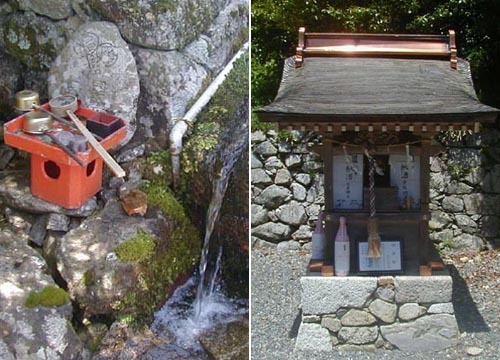 ●神社の造形―日吉大社、東本宮と椰の木_d0053294_00360174.jpg