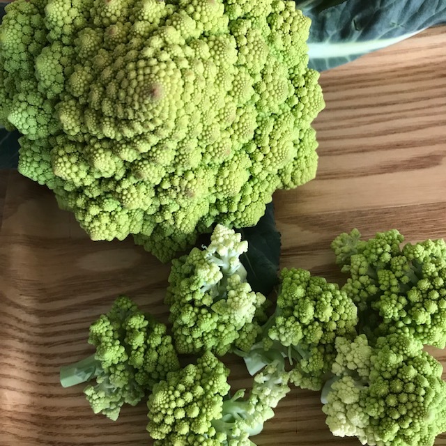 f0204295_16143501.jpg