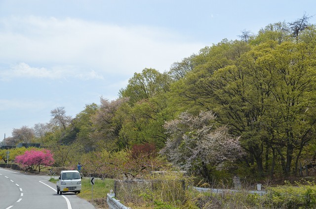 2018年4月　勝沼の桃源郷へ 前編_c0124100_16363563.jpg