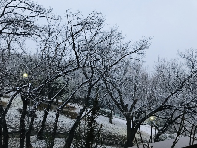 c0362401_15361762.jpeg