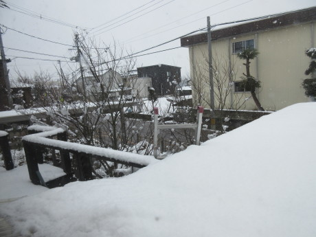 a0203003_20374052.jpg