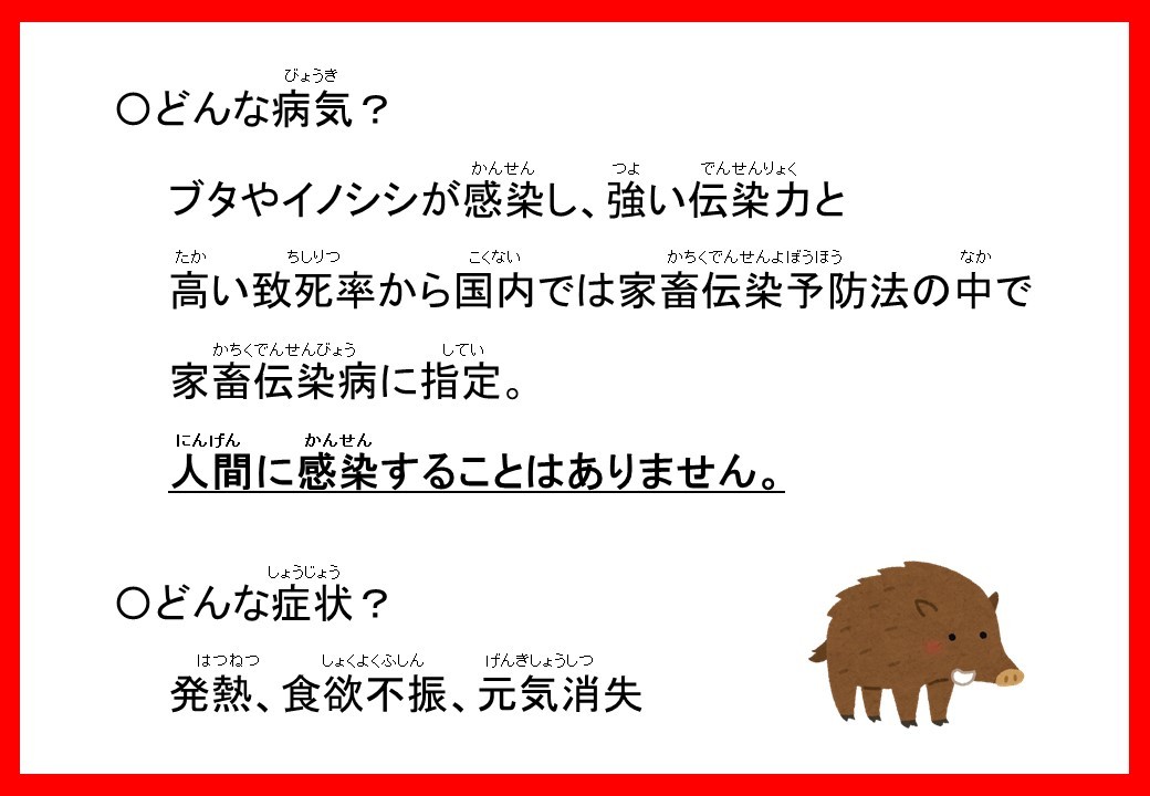 豚コレラって…?_c0290504_13483069.jpg