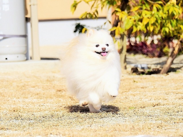 さて、困った_d0360206_01421201.jpg