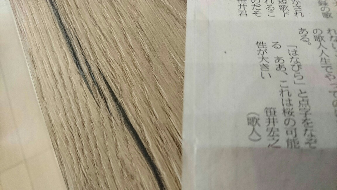 ずいぶん綺麗な桜だわ きょうの空は ずいぶん綺麗な桜だわ きょうの空は