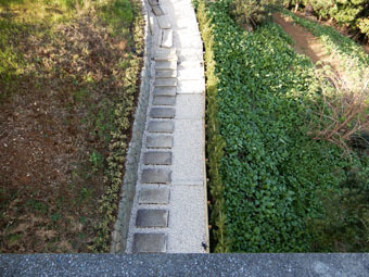 c0195909_11432252.jpg