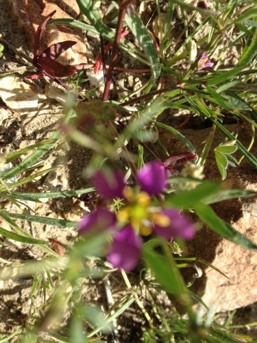 a0331910_09371616.jpeg