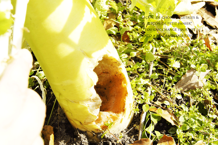 e0325911_10162662.gif