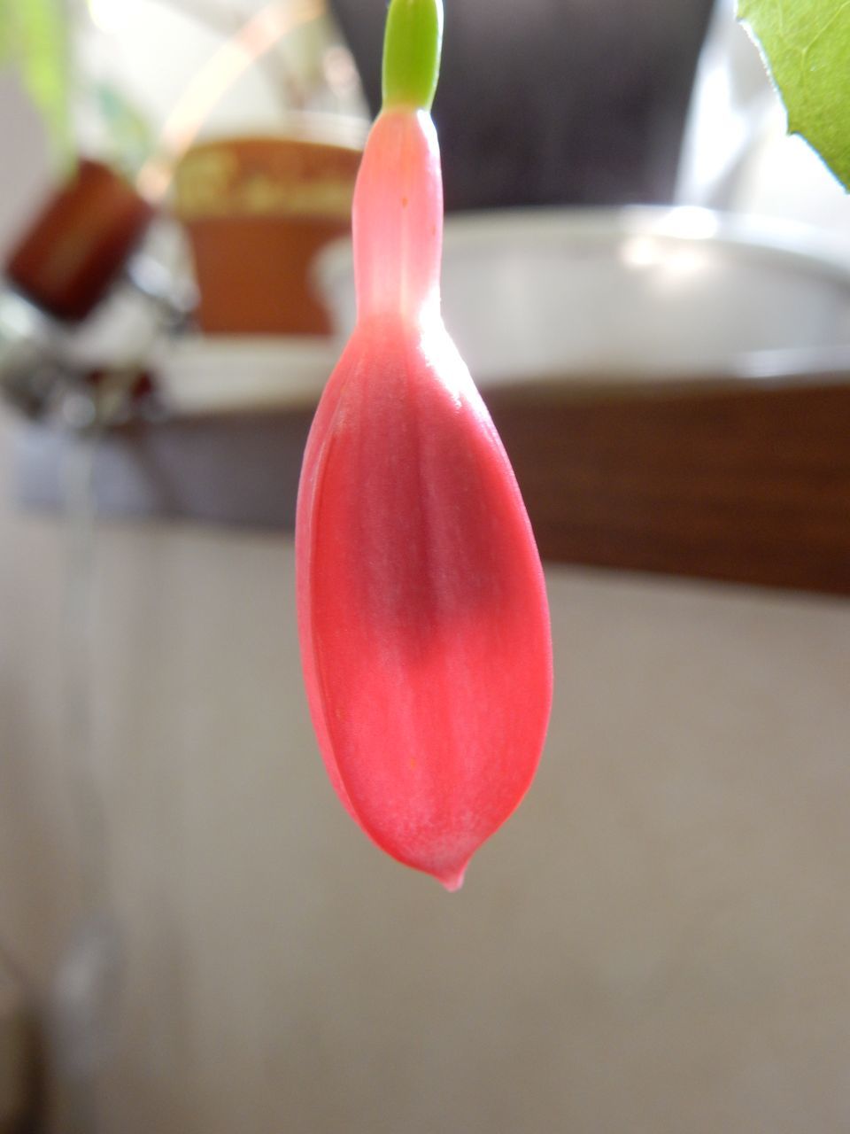 まだまだ冬_c0025115_21405466.jpg