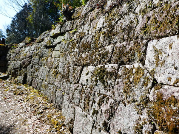 d0170615_14302158.jpg
