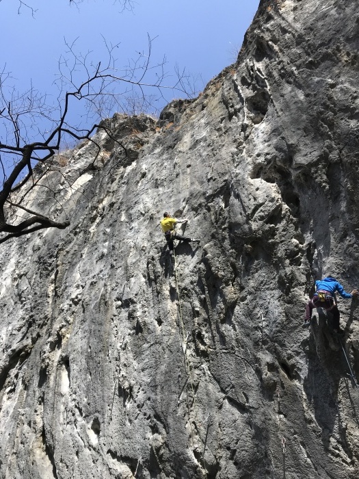 2019年2月10日、13日、厳寒の二子山に平日カードの二子山_b0037220_21525673.jpg