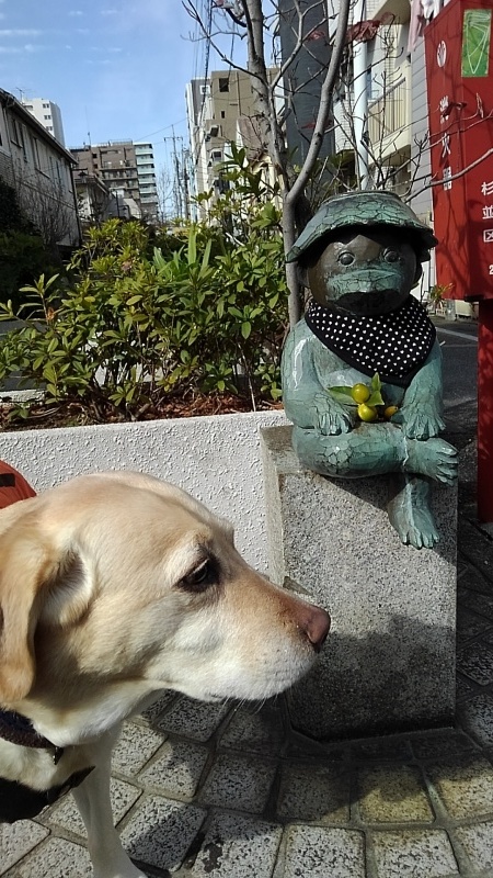 b0339522_12013383.jpg