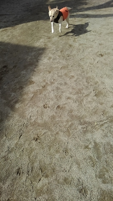 b0339522_13044079.jpg
