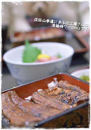 d0179828_12571373.png