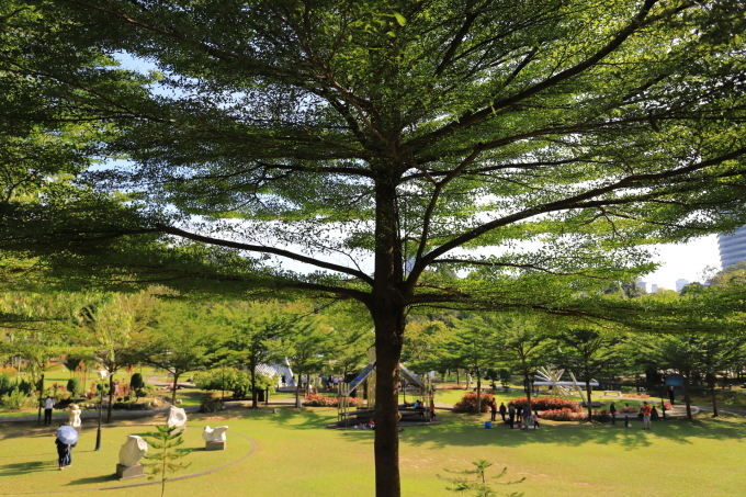 f0348831_00192609.jpg