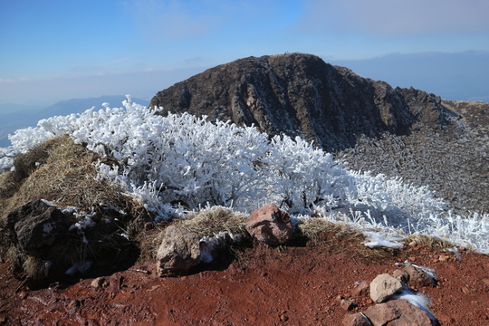 e0272335_8648.jpg