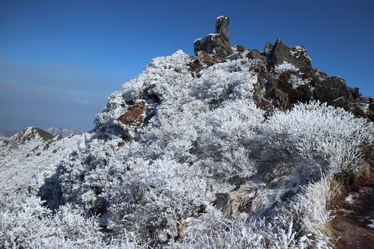 e0272335_87104.jpg