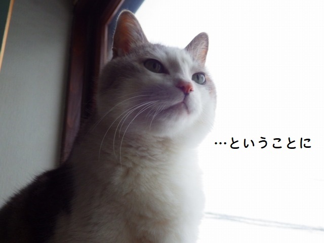 a0337237_12464675.jpg
