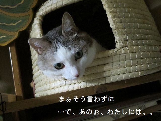 a0337237_12560751.jpg
