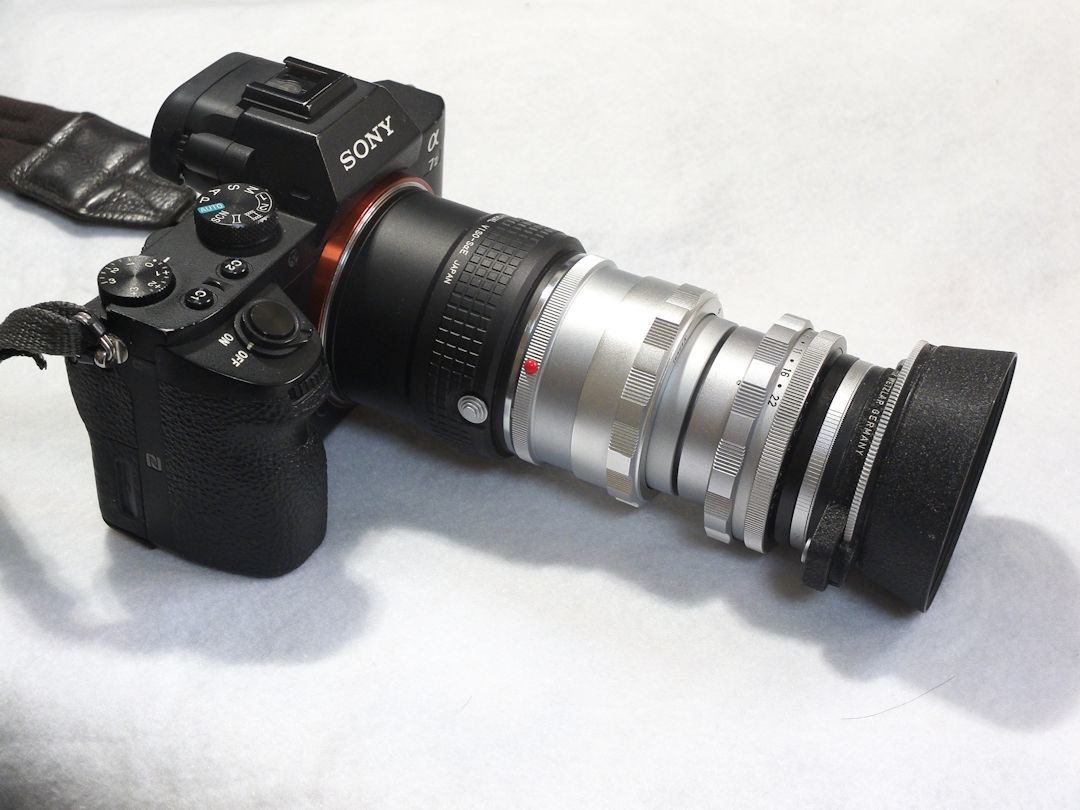 Elmar 65mm F3.5に13351の偏光フィルター付きメタルフードを付け Elmar 65mm F3.5に13351の偏光フィルター付きメタルフードを付け