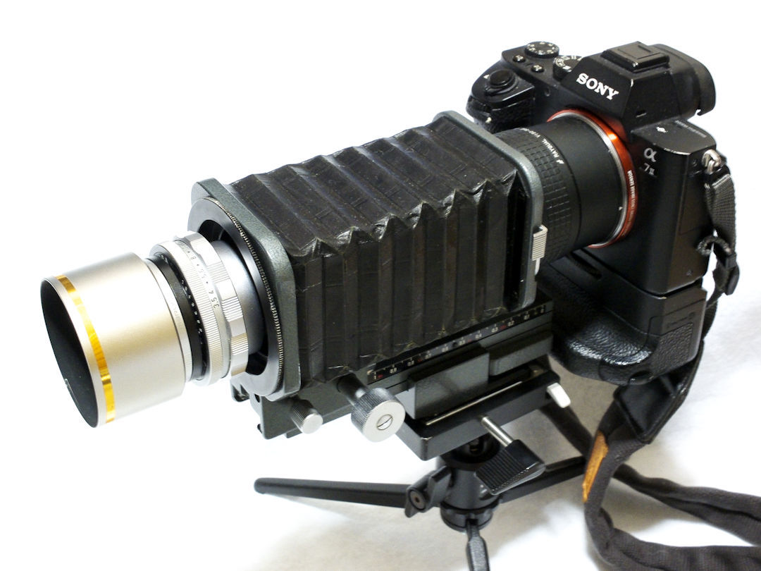 Elmar 65mm F3.5に13351の偏光フィルター付きメタルフードを付け Elmar 65mm F3.5に13351の偏光フィルター付きメタルフードを付け