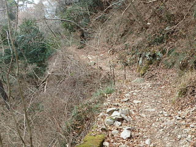 f0334143_20454799.jpg
