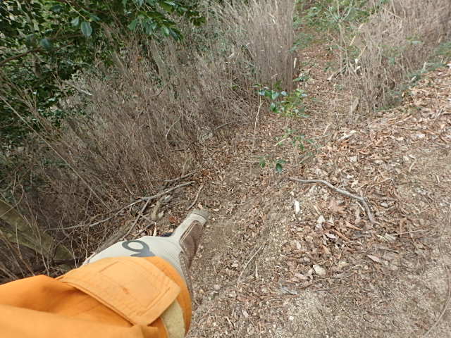 f0334143_20501878.jpg