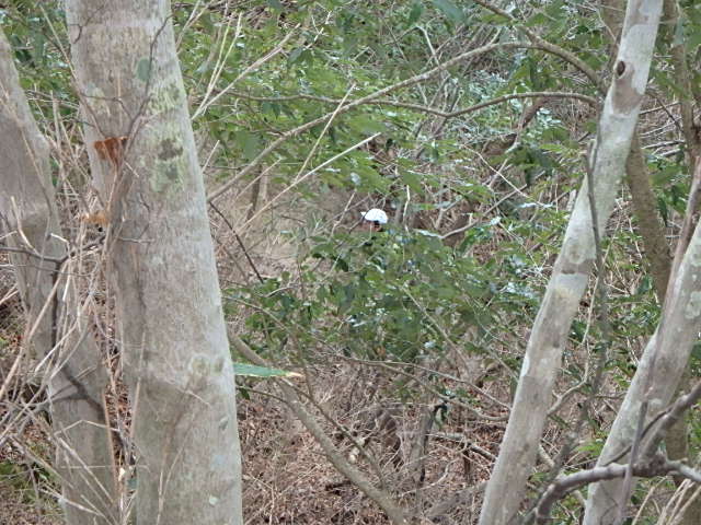 f0334143_20525272.jpg
